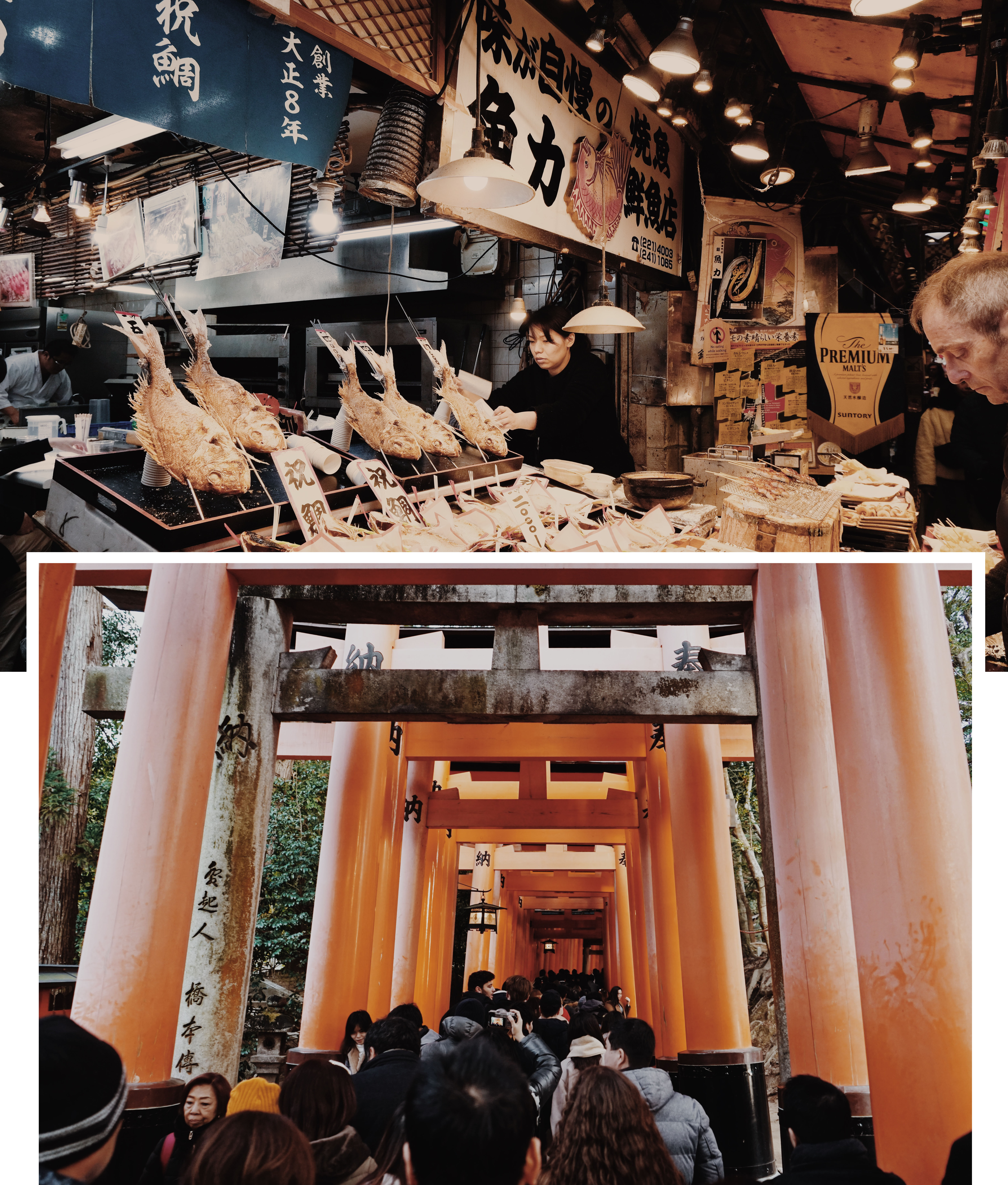 Kyoto Food Market and Fushimi Inari-Taisha