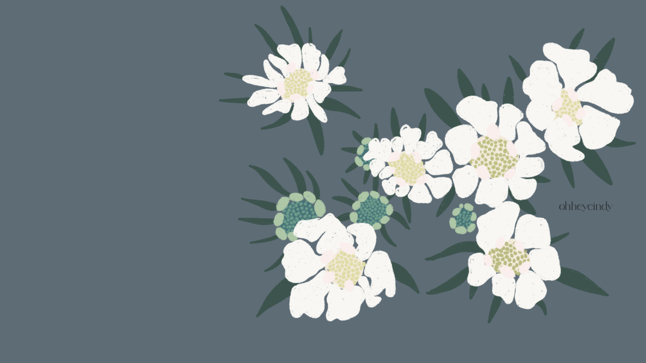 Oh Hey Cindy - Artist, illustrator & explorer who loves creating pretty